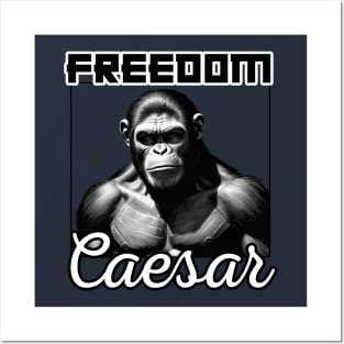 Freedom Caesar Posters and Art
